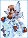 The butterfly.