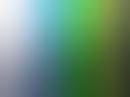 smoothe colors
