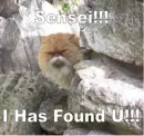 Sensei I has found you