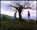 couple in love