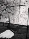 swinging life away