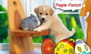paste fericit