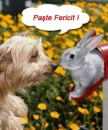 paste fericit