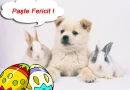 paste fericit