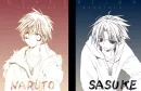 naruto and Sasuke