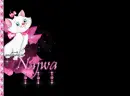 Najwa