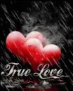 Rain Hearts