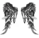 wings