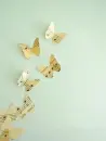 music butterflies