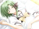 Peaceful Sleep