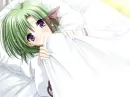 Shy