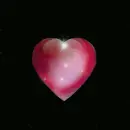 Snow red heart