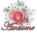 Awesome>>>Rainbow Rose