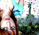 wonderland