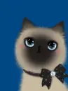 Kitty