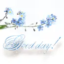 good day!
