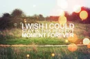 Perfect Moment