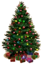 Background - Sparkle Christmas Tree