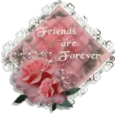 Background - Friends are Forever