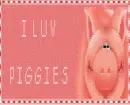 Piggy Fans