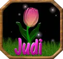 Judi 