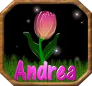 Andrea