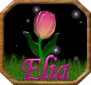 Elia