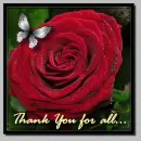 Thank You for All