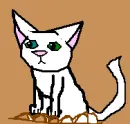 White kitty