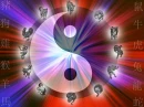 Chinese Zodiac