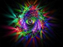 The Eye