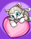 Cat lovelly