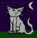 Dawnpaw