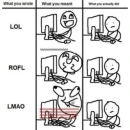 Roflmao