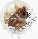 Good afternoon