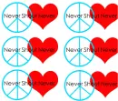 Never Shout Never