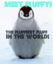 Fluffy