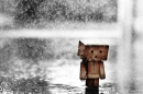 Box dude in the rain
