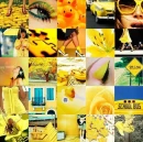 Yellow Collage