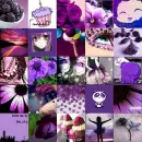 Purple Collage