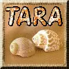 Tara shells