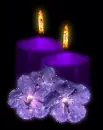 purple candles and flowers