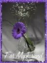 Flower in Bottle