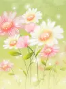 daisies shimmer