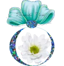Flower in Bubble