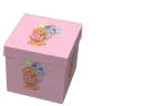 Bear in Box