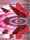Animated butterflies