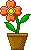 flower1