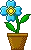 flower2