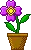 flower3